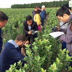 Chinese tree nursery companies visit Europe for a second time