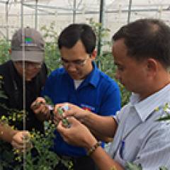 Vietnamese trainees eager to learn more about protected vegetable cultivation