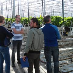 Zespri delegation visits fruit growers in the Netherlands