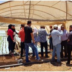 Hydroponic Agriculture and Employment Development, Jordan