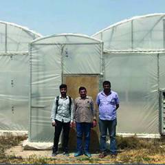 Market opportunities for Dutch greenhouse industry in India