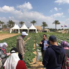 Egypt: Working on climate-smart agriculture solutions