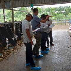 Succesful demos of CowSignals® training in three Indian states