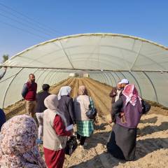 Training for female extension workers in Iraq