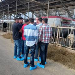 Dairy study tour DFA Haryana to the Netherlands