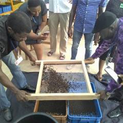 Insect farming in agriculture: a pathway to sustainable innovation